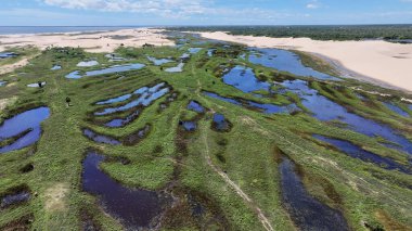 Tutoia Maranhao Brezilya 'daki Tutoia Köyü. Kuşların gözü çarpıcı Karanlık Nehir ve Orman Ağaçları 'nı görüyor. Horizon Sahili Denizi kıyısında. Shore Seaside Panning Wide 'da. Tutoia Maranhao.