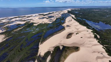 Tutoia Skyline Tutoia Maranhao Brezilya 'da. Kuşların gözü çarpıcı Karanlık Nehir ve Orman Ağaçları 'nı görüyor. Horizon Sahili Denizi kıyısında. Shore Seaside Panning Wide 'da. Tutoia Maranhao.