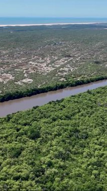 Parnaiba Delta Piaui Brezilya 'da Parnaiba' da. Sarmal Nehir. Doğa Manzarası. Piaui 'de Parnaiba Delta. Amerika 'nın Brezilya Deltası. Plaj manzarası. Tatil seyahatleri. Brezilya Kuzeydoğu.