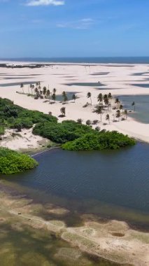 Lencois Maranhenses Tutoia, Brezilya 'da. Doğa Küçük Çarşafları. Manzaralı Palmiye Ağaçları. Lencois Maranhenses Tutoia 'da. Kıvrımlı kum tepeleri. Yağmur suyu gölleri. Tropik seyahat. Brezilya Kuzeydoğu.