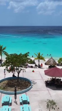 Hollanda, Willemstad 'daki Kenepa Grandi Plajı Curacao. Ada Sahili. Mavi Deniz Manzarası. Hollanda 'daki Willemstad Curacao. Turizm arka planı. Doğa Deniz Burnu.