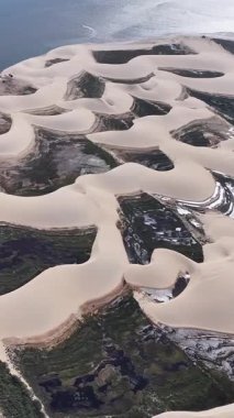 Maranhao Brezilya 'daki Araioses' de Morro Do Meio Plajı. Doğa Manzarası. Parnaiba Delta Vahşi Yaşam. Maranhao 'daki Morro Do Meio Plajı. Kıvrımlı kum tepeleri. Yağmur suyu gölleri. Tropik Seyahat.