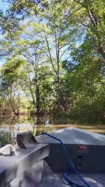 Piaui Brezilya 'daki Parnaiba' da tekne gezisi. Tekne turu. Yağmur Ormanı Sahnesi. Piaui Brezilya 'daki Parnaiba' da tekne gezisi. Amerika 'nın Deltası. Mangrove Skyline 'da. Parnaiba Deltası.