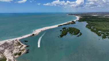 Brezilya 'nın Piaui şehrinde, Cajueiro Da Praia' daki Barra Grande Plajı. Plaj manzarası. Doğa Deniz Burnu. Tatil Varış Yeri. Brezilya 'nın Piaui şehrinde, Cajueiro Da Praia' daki Barra Grande Plajı. Yaz Seyahati.