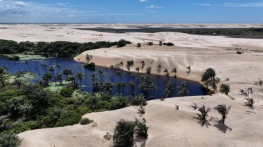 Maranhao Brezilya 'daki Paulino Neves' de küçük çarşaflar. Tatlı Su Gölleri Peyzajı. Kum tepeleri dağları. Paulino Neves 'te küçük çarşaflar. Turizm Seyahati. Doğa Sahnesi. Sahil Arkaplanı. Brezilya Kuzeydoğu.