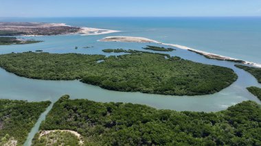 Brezilya 'nın Piaui şehrinde, Kajueiro Da Praia' daki Barra Grande Köyü. Sahil Skyline. Doğa manzarası. Yaz Gezisi. Brezilya 'nın Piaui şehrinde, Kajueiro Da Praia' daki Barra Grande Köyü. Tropikal Manzara.