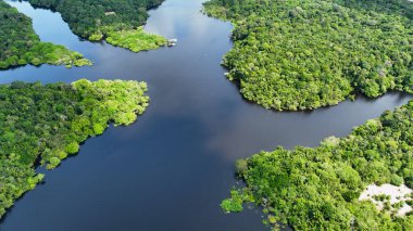 Amazon yağmur ormanları Manaus Amazonas Brezilya 'da. Nehir yemyeşil orman manzarasından akıyor. Ekvador Nehri Ormanı Brezilya Körfezi. Ekvador Seyahati. Manaus Amazonas.