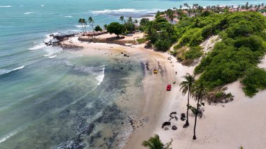 Rio Grande do Norte Brezilya 'daki Genipabu Plajı. Bereketli bir tropikal sahil manzarasının nefes kesici görüntüsü. Shore Clouds Plaj Denizi. Sahil Sahili Sahili Kıyı Hattı.