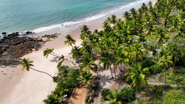 Conde Paraiba Brezilya 'daki Coqueirinho Plajı. Bereketli bir tropikal sahil manzarasının nefes kesici görüntüsü. Sahil Gökyüzü Sahil Kıyısı Yaz Zamanı. Seaside Beach Panoramik. Conde Paraiba.