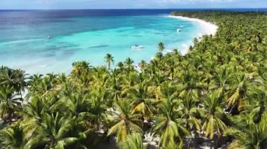 Punta Cana Dominik Cumhuriyeti 'ndeki Saona Adası Skyline' da. Plaj manzarası. Mavi Deniz 'in gölgeleri. Seyahat güzergahı. Saona Adası 'ndaki Skyline Punta Cana Dominik Cumhuriyeti.