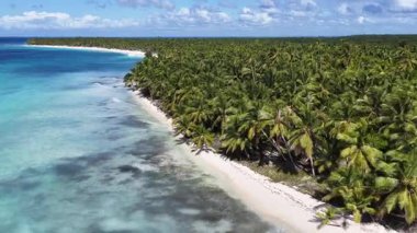 La Altagracia Dominik Cumhuriyeti 'ndeki Punta Cana' da Saona Adası. Plaj manzarası. Mavi Suluboya 'nın tonları. Seyahat güzergahı. Punta Cana 'daki Saona Adası Dominik Cumhuriyeti. Doğa Beyaz Kum Kumsalı.