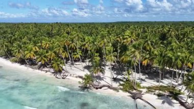 Punta Cana Dominik Cumhuriyeti 'ndeki Saona Adası Skyline' da. Plaj manzarası. Mavi Deniz 'in gölgeleri. Seyahat güzergahı. Saona Adası 'ndaki Skyline Punta Cana Dominik Cumhuriyeti.