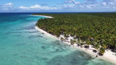 La Altagracia Dominik Cumhuriyeti 'ndeki Punta Cana' da Saona Adası. Karayip silueti. Plaj manzarası. Yerli Hindistan cevizi ağaçları. Dominik Cumhuriyeti, Punta Cana 'da Saona Adası. Doğa Deniz Burnu.