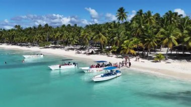 Punta Cana Dominik Cumhuriyeti 'ndeki Saona Adası Skyline' da. Plaj manzarası. Mavi Deniz 'in gölgeleri. Seyahat güzergahı. Saona Adası 'ndaki Skyline Punta Cana Dominik Cumhuriyeti.