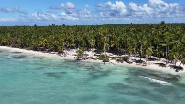 La Altagracia Dominik Cumhuriyeti 'ndeki Punta Cana' da Saona Adası. Karayip silueti. Plaj manzarası. Yerli Hindistan cevizi ağaçları. Dominik Cumhuriyeti, Punta Cana 'da Saona Adası. Doğa Deniz Burnu.