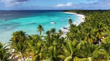 Punta Cana Dominik Cumhuriyeti 'ndeki Saona Adası Skyline' da. Plaj manzarası. Mavi Deniz 'in gölgeleri. Seyahat güzergahı. Saona Adası 'ndaki Skyline Punta Cana Dominik Cumhuriyeti.