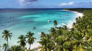 La Altagracia Dominik Cumhuriyeti 'ndeki Punta Cana' da Saona Adası. Karayip silueti. Plaj manzarası. Yerli Hindistan cevizi ağaçları. Dominik Cumhuriyeti, Punta Cana 'da Saona Adası. Doğa Deniz Burnu.