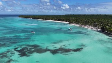 La Altagracia Dominik Cumhuriyeti 'ndeki Punta Cana' da Saona Adası. Karayip silueti. Plaj manzarası. Yerli Hindistan cevizi ağaçları. Dominik Cumhuriyeti, Punta Cana 'da Saona Adası. Doğa Deniz Burnu.
