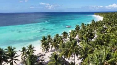 La Altagracia Dominik Cumhuriyeti 'ndeki Punta Cana' da Saona Adası. Karayip silueti. Plaj manzarası. Yerli Hindistan cevizi ağaçları. Dominik Cumhuriyeti, Punta Cana 'da Saona Adası. Doğa Deniz Burnu.