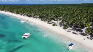 La Altagracia Dominik Cumhuriyeti 'ndeki Punta Cana' da Saona Adası. Karayip silueti. Plaj manzarası. Yerli Hindistan cevizi ağaçları. Dominik Cumhuriyeti, Punta Cana 'da Saona Adası. Doğa Deniz Burnu.