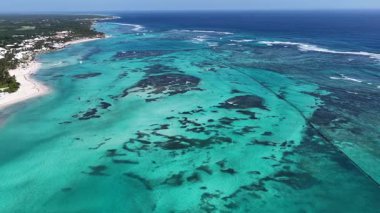 Punta Cana Skyline La Altagracia Dominik Cumhuriyeti 'ndeki Punta Cana' da. Karayip silueti. Plaj manzarası. Doğa Deniz Burnu. Punta Cana Skyline, La Altagracia Dominik Cumhuriyeti 'nde. Manzara Palmiye Ağaçları.