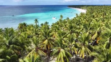 Punta Cana Dominik Cumhuriyeti 'ndeki Saona Adası' ndaki Beyaz Kum Plajı. Plaj manzarası. Mavi Deniz 'in gölgeleri. Seyahat güzergahı. Punta Cana Dominik Cumhuriyeti 'ndeki Saona Adası' ndaki Beyaz Kum Plajı.