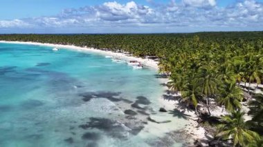 Punta Cana Dominik Cumhuriyeti 'ndeki Saona Adası' ndaki Beyaz Kum Plajı. Plaj manzarası. Mavi Deniz 'in gölgeleri. Seyahat güzergahı. Punta Cana Dominik Cumhuriyeti 'ndeki Saona Adası' ndaki Beyaz Kum Plajı.