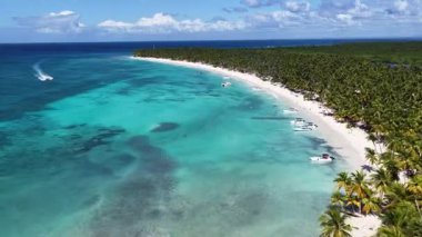 Punta Cana Dominik Cumhuriyeti 'ndeki Saona Adası' ndaki Beyaz Kum Plajı. Plaj manzarası. Mavi Deniz 'in gölgeleri. Seyahat güzergahı. Punta Cana Dominik Cumhuriyeti 'ndeki Saona Adası' ndaki Beyaz Kum Plajı.