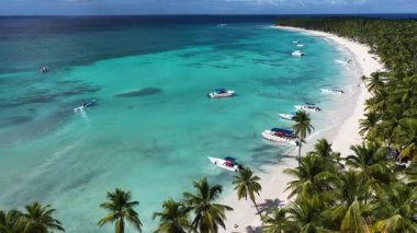 La Altagracia Dominik Cumhuriyeti 'ndeki Punta Cana' da Saona Adası. Karayip silueti. Plaj manzarası. Yerli Hindistan cevizi ağaçları. Dominik Cumhuriyeti, Punta Cana 'da Saona Adası. Doğa Deniz Burnu.