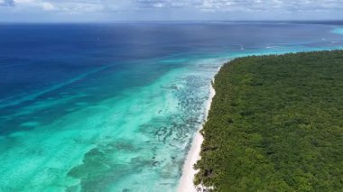 La Altagracia Dominik Cumhuriyeti 'ndeki Punta Cana' da Saona Adası. Karayip silueti. Plaj manzarası. Yerli Hindistan cevizi ağaçları. Dominik Cumhuriyeti, Punta Cana 'da Saona Adası. Doğa Deniz Burnu.