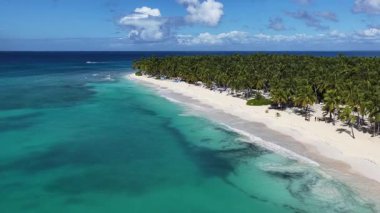 La Altagracia Dominik Cumhuriyeti 'ndeki Punta Cana' da Saona Adası. Karayip silueti. Plaj manzarası. Yerli Hindistan cevizi ağaçları. Dominik Cumhuriyeti, Punta Cana 'da Saona Adası. Doğa Deniz Burnu.