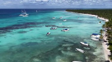 La Altagracia Dominik Cumhuriyeti 'ndeki Punta Cana' da Saona Adası. Karayip silueti. Plaj manzarası. Yerli Hindistan cevizi ağaçları. Dominik Cumhuriyeti, Punta Cana 'da Saona Adası. Doğa Deniz Burnu.