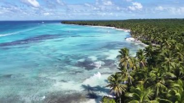 Punta Cana Dominik Cumhuriyeti 'ndeki Saona Adası' ndaki Beyaz Kum Plajı. Plaj manzarası. Mavi Deniz 'in gölgeleri. Seyahat güzergahı. Punta Cana Dominik Cumhuriyeti 'ndeki Saona Adası' ndaki Beyaz Kum Plajı.