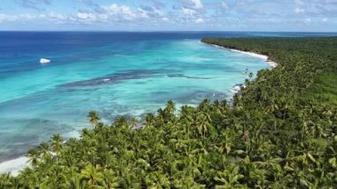 Punta Cana Dominik Cumhuriyeti 'ndeki Saona Adası Skyline' da. Plaj manzarası. Mavi Deniz 'in gölgeleri. Seyahat güzergahı. Saona Adası 'ndaki Skyline Punta Cana Dominik Cumhuriyeti.