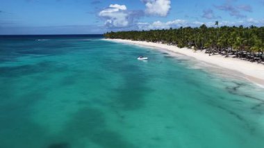 Punta Cana Dominik Cumhuriyeti 'ndeki Saona Adası' ndaki Beyaz Kum Plajı. Plaj manzarası. Mavi Deniz 'in gölgeleri. Seyahat güzergahı. Punta Cana Dominik Cumhuriyeti 'ndeki Saona Adası' ndaki Beyaz Kum Plajı.