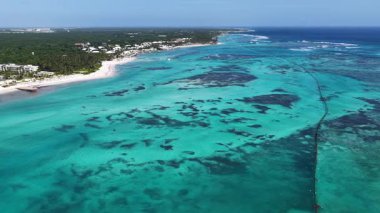 Playa Blanca Plajı Punta Cana 'da La Altagracia Dominik Cumhuriyeti' nde. Plaj manzarası. Şehir merkezinde. Seyahat güzergahı. Playa Blanca Plajı Punta Cana 'da La Altagracia Dominik Cumhuriyeti.