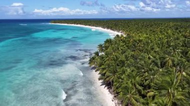 Punta Cana Dominik Cumhuriyeti 'ndeki Saona Adası' ndaki Beyaz Kum Plajı. Plaj manzarası. Mavi Deniz 'in gölgeleri. Seyahat güzergahı. Punta Cana Dominik Cumhuriyeti 'ndeki Saona Adası' ndaki Beyaz Kum Plajı.