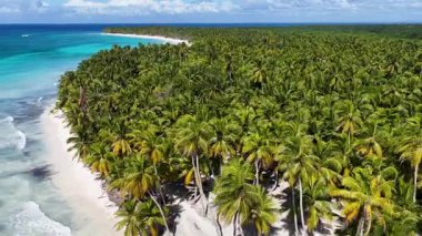 La Altagracia Dominik Cumhuriyeti 'ndeki Punta Cana' da Saona Adası. Karayip silueti. Plaj manzarası. Yerli Hindistan cevizi ağaçları. Dominik Cumhuriyeti, Punta Cana 'da Saona Adası. Doğa Deniz Burnu.