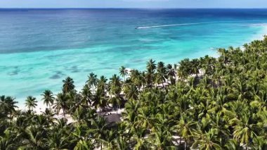 La Altagracia Dominik Cumhuriyeti 'ndeki Punta Cana' da Saona Adası. Karayip silueti. Plaj manzarası. Yerli Hindistan cevizi ağaçları. Dominik Cumhuriyeti, Punta Cana 'da Saona Adası. Doğa Deniz Burnu.