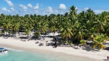 Punta Cana Dominik Cumhuriyeti 'ndeki Saona Adası' ndaki Beyaz Kum Plajı. Plaj manzarası. Mavi Deniz 'in gölgeleri. Seyahat güzergahı. Punta Cana Dominik Cumhuriyeti 'ndeki Saona Adası' ndaki Beyaz Kum Plajı.