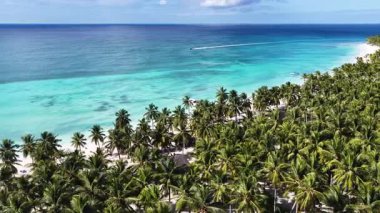 Punta Cana Dominik Cumhuriyeti 'ndeki Saona Adası Skyline' da. Plaj manzarası. Mavi Deniz 'in gölgeleri. Seyahat güzergahı. Saona Adası 'ndaki Skyline Punta Cana Dominik Cumhuriyeti.
