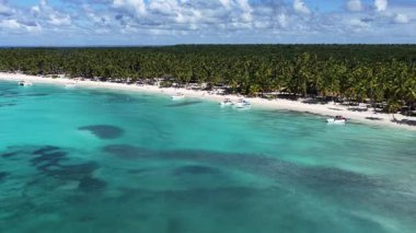 La Altagracia Dominik Cumhuriyeti 'ndeki Punta Cana' da Saona Adası. Karayip silueti. Plaj manzarası. Yerli Hindistan cevizi ağaçları. Dominik Cumhuriyeti, Punta Cana 'da Saona Adası. Doğa Deniz Burnu.