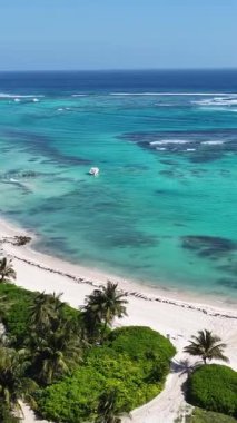 Playa Blanca Plajı Punta Cana 'da La Altagracia Dominik Cumhuriyeti' nde. Plaj manzarası. Şehir merkezinde. Seyahat güzergahı. Playa Blanca Plajı Punta Cana 'da La Altagracia Dominik Cumhuriyeti.