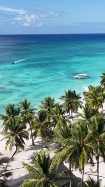 La Altagracia Dominik Cumhuriyeti 'ndeki Punta Cana' da Saona Adası. Karayip silueti. Plaj manzarası. Yerli Hindistan cevizi ağaçları. Dominik Cumhuriyeti, Punta Cana 'da Saona Adası. Doğa Deniz Burnu.