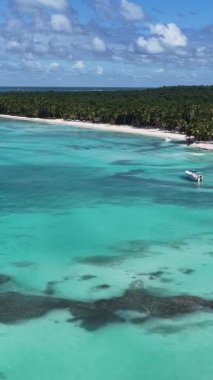 La Altagracia Dominik Cumhuriyeti 'ndeki Punta Cana' da Saona Adası. Karayip silueti. Plaj manzarası. Yerli Hindistan cevizi ağaçları. Dominik Cumhuriyeti, Punta Cana 'da Saona Adası. Doğa Deniz Burnu.