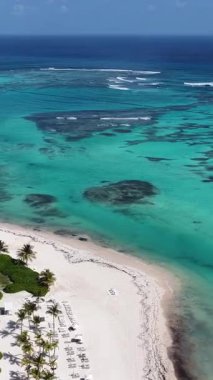 Punta Cana Skyline La Altagracia Dominik Cumhuriyeti 'ndeki Punta Cana' da. Karayip silueti. Plaj manzarası. Doğa Deniz Burnu. Punta Cana Skyline, La Altagracia Dominik Cumhuriyeti 'nde. Manzara Palmiye Ağaçları.