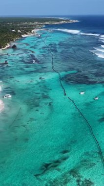 Punta Cana Skyline La Altagracia Dominik Cumhuriyeti 'ndeki Punta Cana' da. Karayip silueti. Plaj manzarası. Doğa Deniz Burnu. Punta Cana Skyline, La Altagracia Dominik Cumhuriyeti 'nde. Manzara Palmiye Ağaçları.