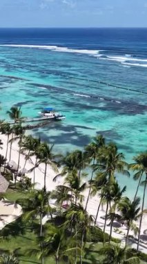 Punta Cana Skyline La Altagracia Dominik Cumhuriyeti 'ndeki Punta Cana' da. Karayip silueti. Plaj manzarası. Doğa Deniz Burnu. Punta Cana Skyline, La Altagracia Dominik Cumhuriyeti 'nde. Manzara Palmiye Ağaçları.