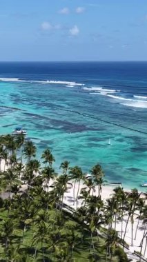 Punta Cana Skyline La Altagracia Dominik Cumhuriyeti 'ndeki Punta Cana' da. Karayip silueti. Plaj manzarası. Doğa Deniz Burnu. Punta Cana Skyline, La Altagracia Dominik Cumhuriyeti 'nde. Manzara Palmiye Ağaçları.