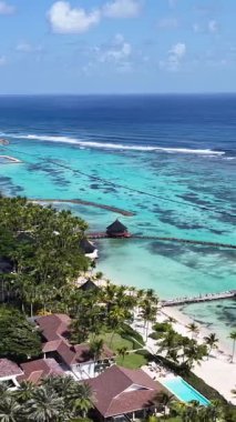 Playa Blanca Plajı Punta Cana 'da La Altagracia Dominik Cumhuriyeti' nde. Plaj manzarası. Şehir merkezinde. Seyahat güzergahı. Playa Blanca Plajı Punta Cana 'da La Altagracia Dominik Cumhuriyeti.